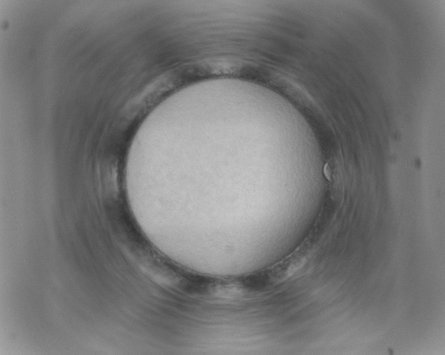 X0000074300262200609151949