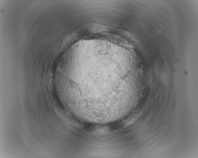 X0000074300263200609151949