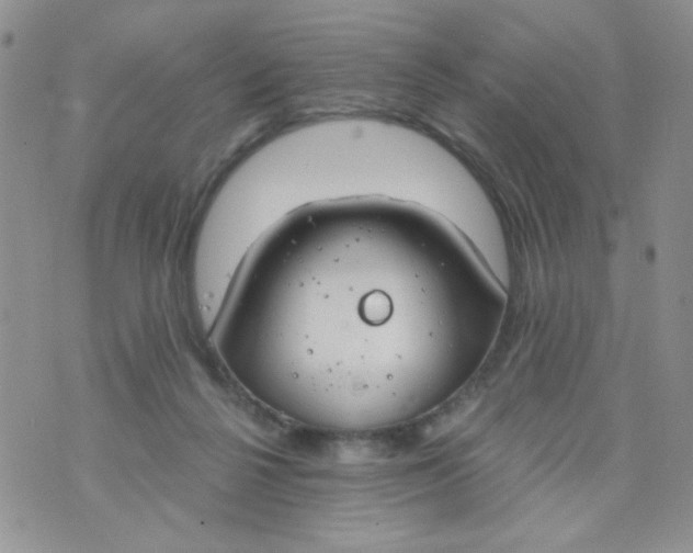 X0000074300264200609151949