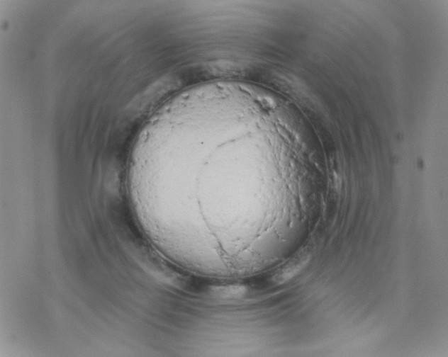 X0000074300266200609151949