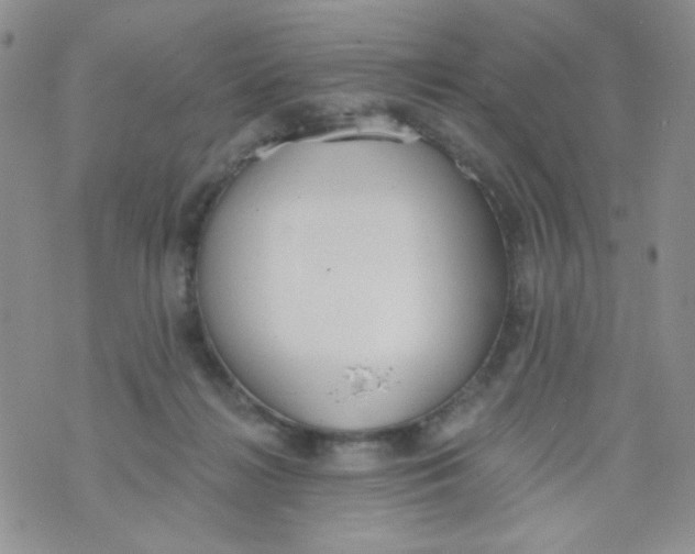 X0000074300268200609151949