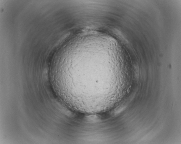 X0000074300269200609151949