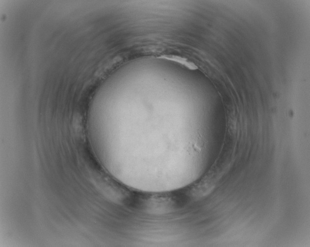 X0000074300270200609151949