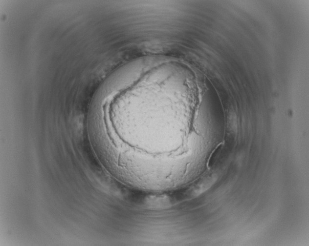 X0000074300271200609151949