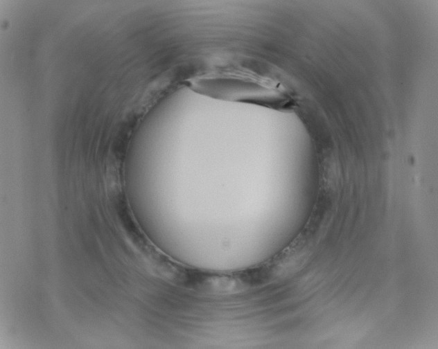 X0000074300272200609151949