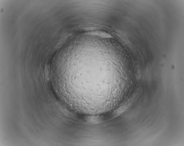 X0000074300273200609151949