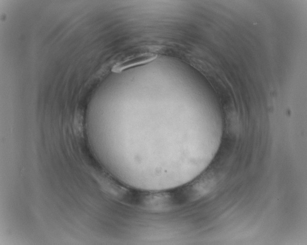 X0000074300274200609151949