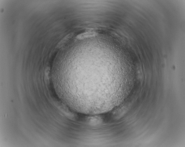 X0000074300275200609151949