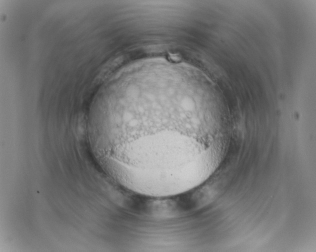 X0000074300277200609151949