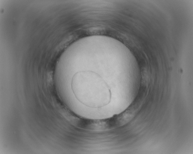 X0000074300278200609151949