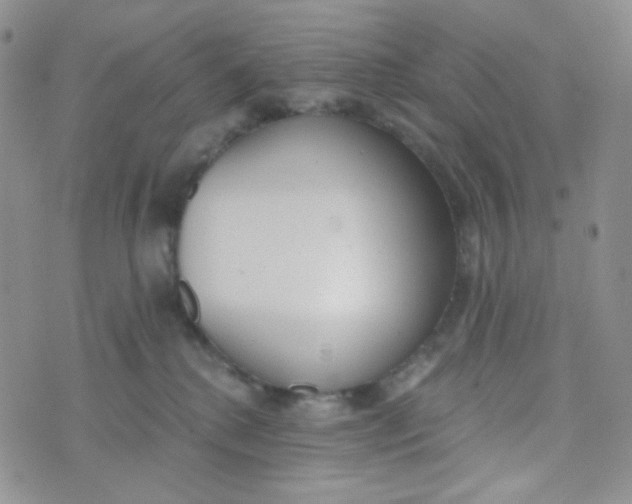 X0000074300280200609151949