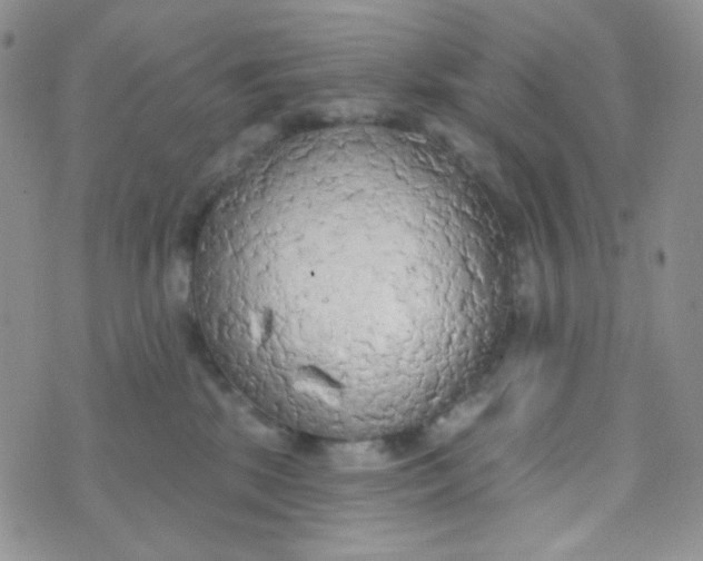 X0000074300281200609151949