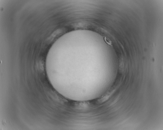 X0000074300282200609151949