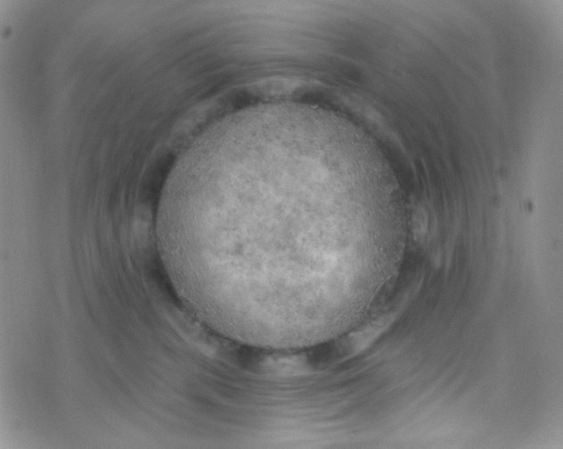 X0000074300283200609151949