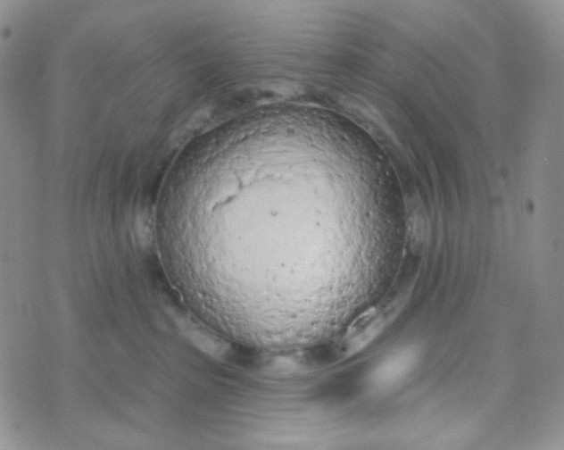 X0000074300285200609151949