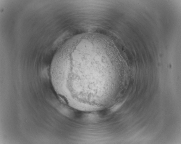 X0000074300286200609151949