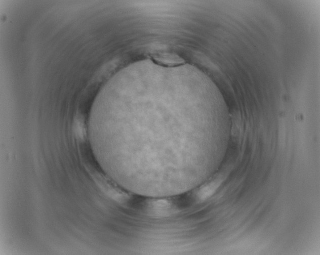 X0000074300287200609151949