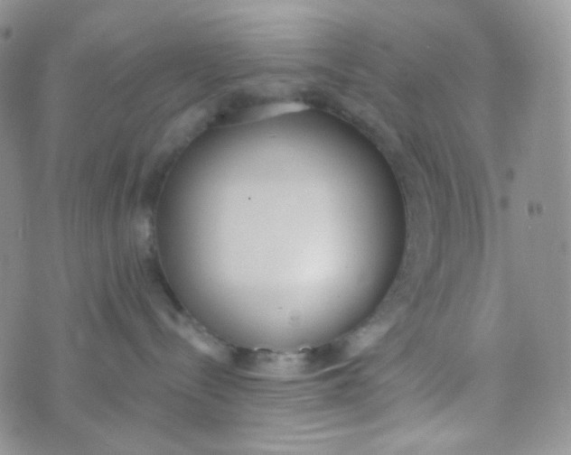 X0000074300288200609151949