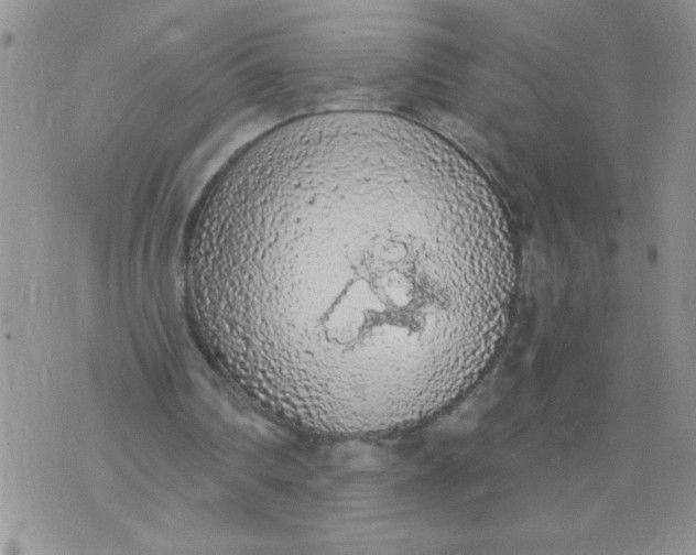 X0000074300290200609151949