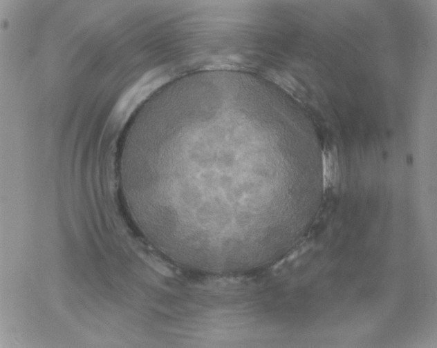 X0000074300291200609151949