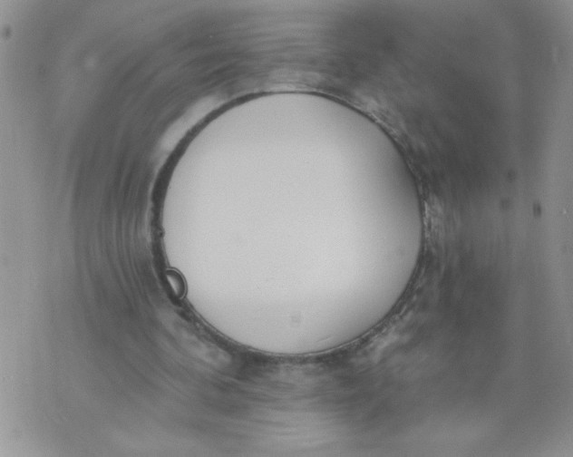 X0000074300292200609151949