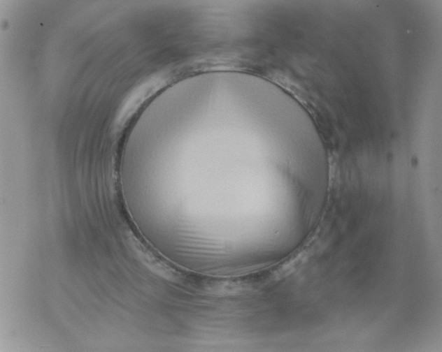 X0000074300293200609151949