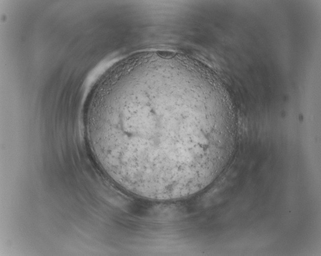 X0000074300294200609151949