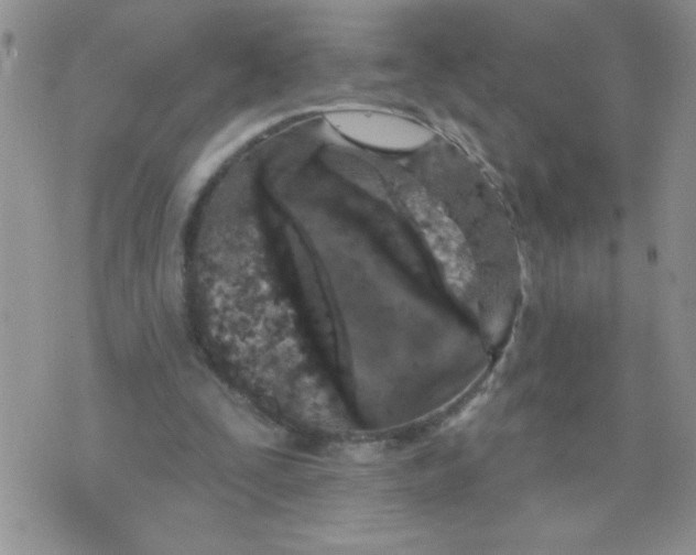 X0000074300295200609151949