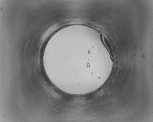 X0000074300296200609151948