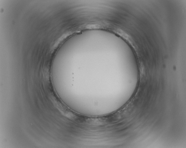 X0000074300297200609151948