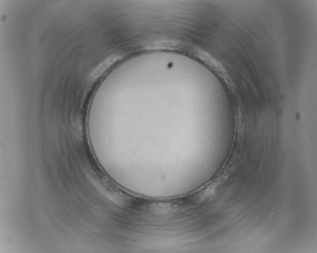 X0000074300298200609151948