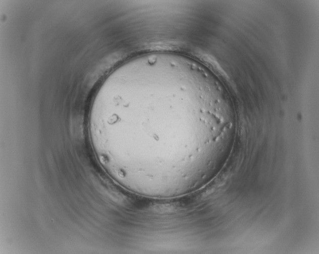 X0000074300299200609151948