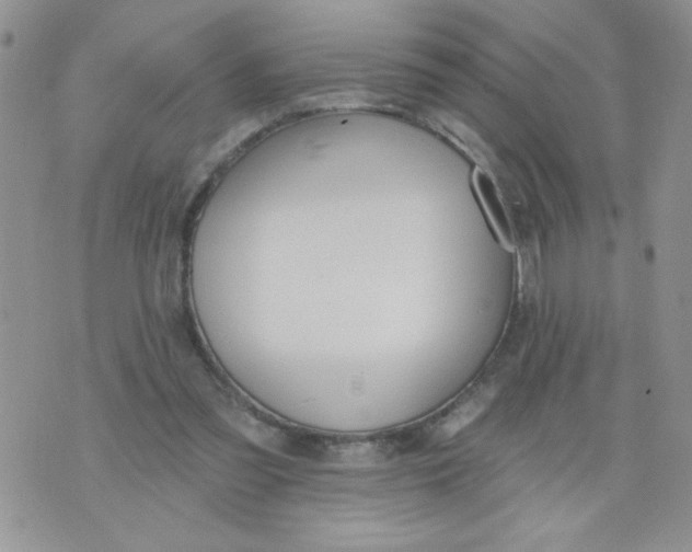 X0000074300301200609151948