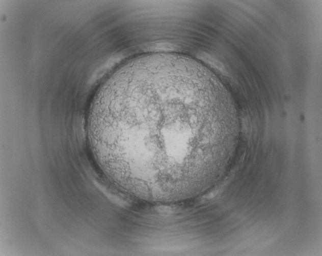 X0000074300302200609151948