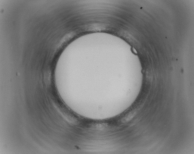 X0000074300304200609151948