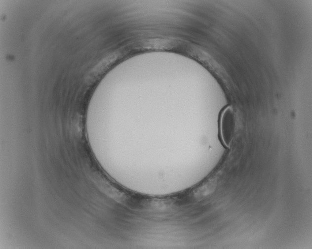 X0000074300305200609151948