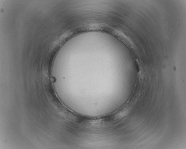 X0000074300306200609151948