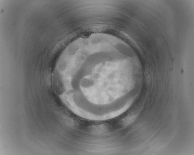 X0000074300307200609151948