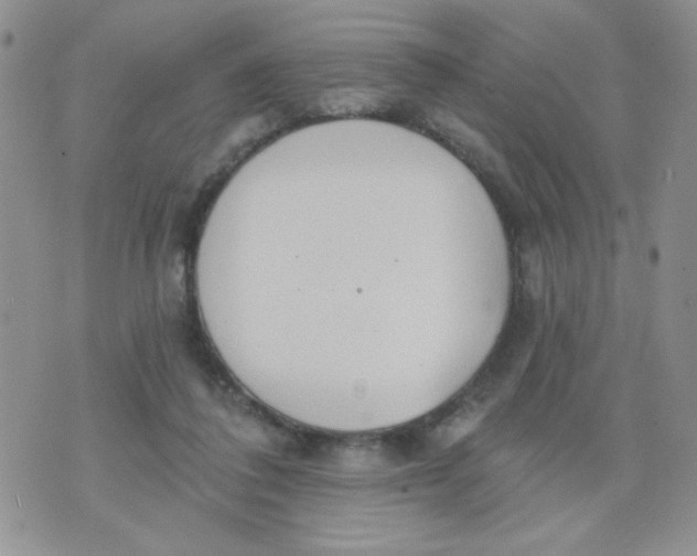 X0000074300308200609151948