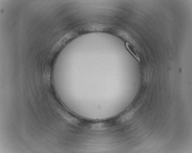 X0000074300309200609151948