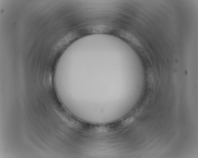 X0000074300310200609151948