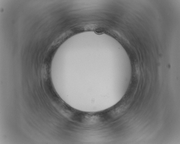 X0000074300311200609151948