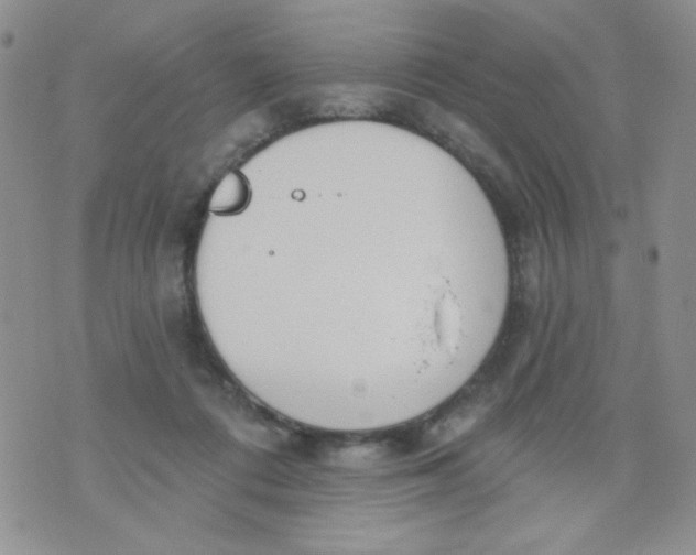 X0000074300312200609151948