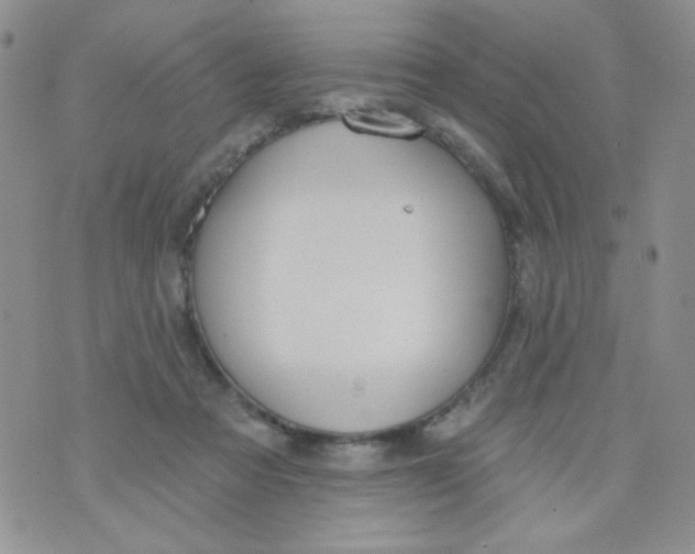 X0000074300313200609151948