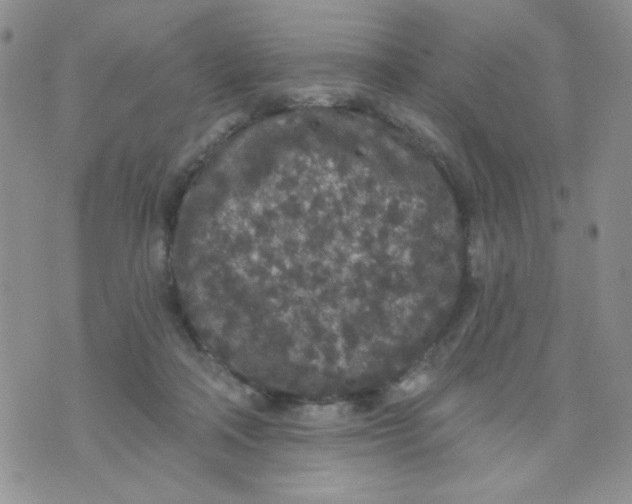 X0000074300314200609151948