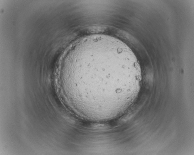 X0000074300315200609151948