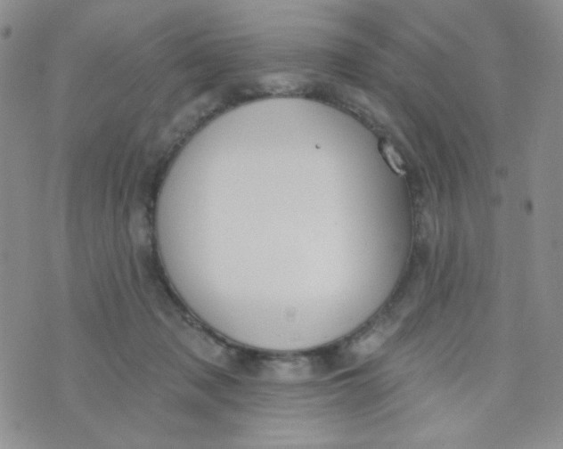 X0000074300317200609151948