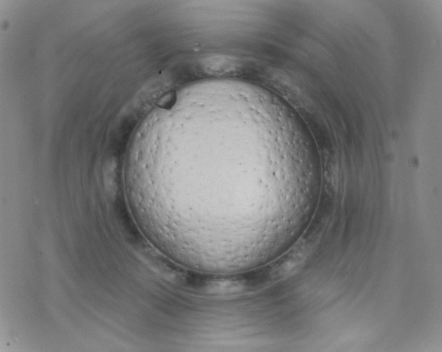 X0000074300319200609151948