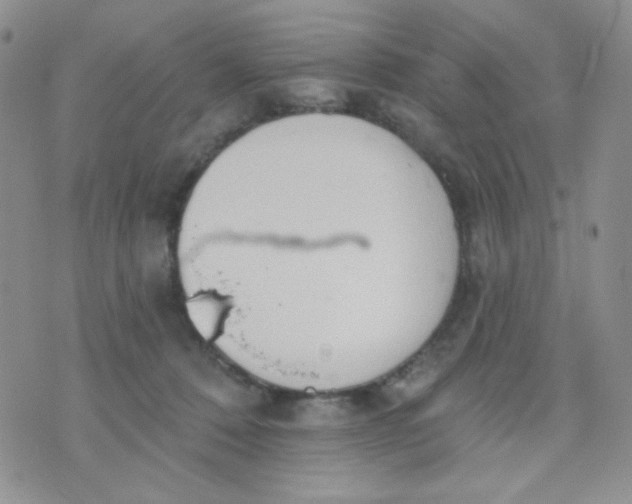 X0000074300320200609151948