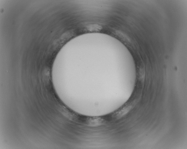 X0000074300321200609151948